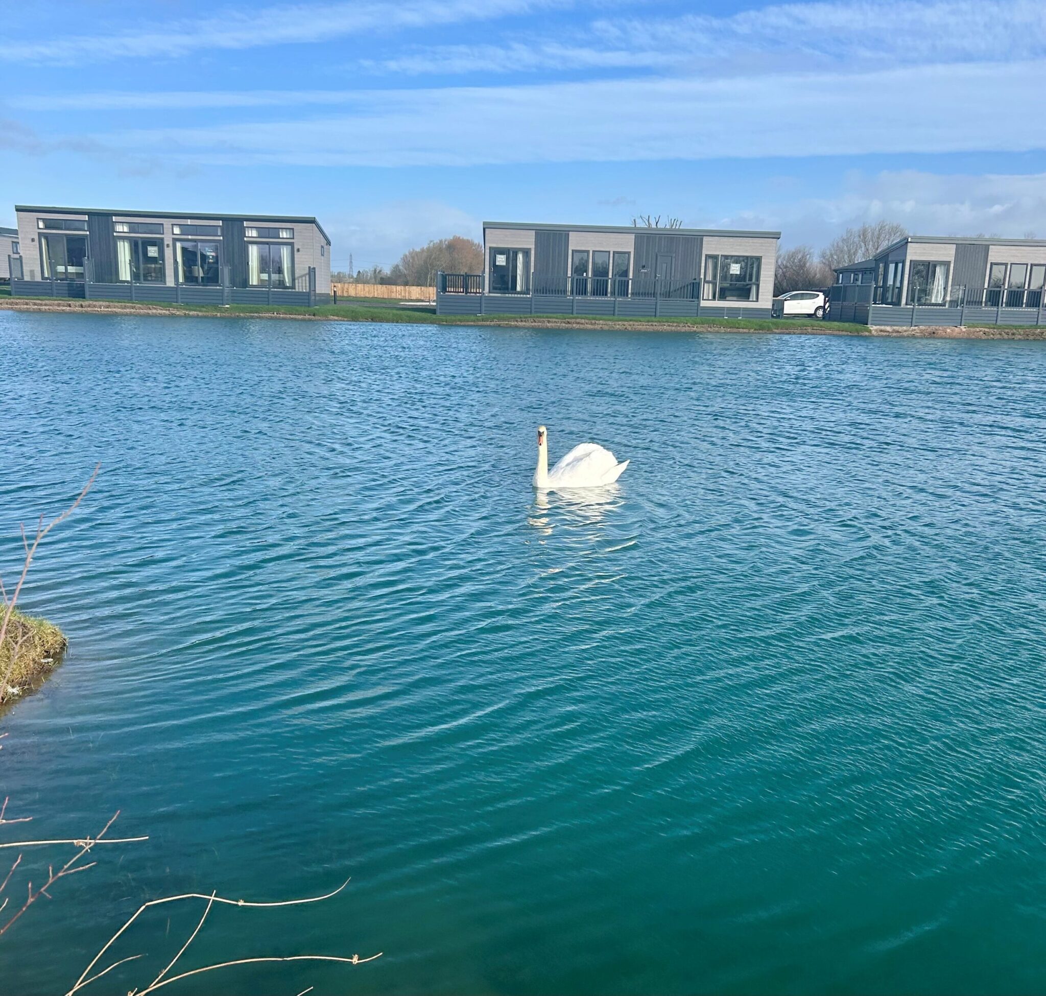 Row of lakeside lodges across calm water at Derwent Oaks, with a swan in the foreground