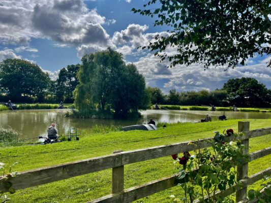 Anglers fishing the willow-island pegs on the sunny lake at Derwent Oaks