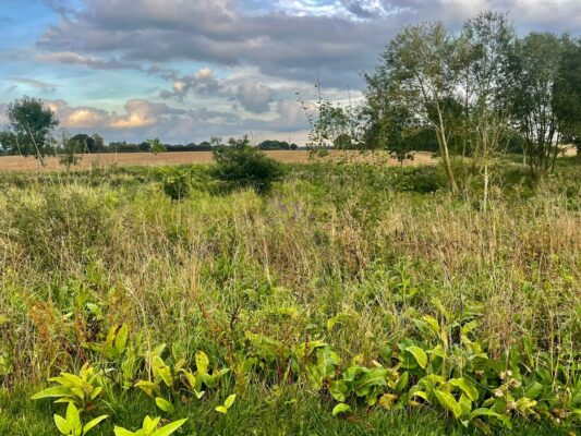 The wider Yorkshire countryside around Derwent Oaks, the kind of open landscape that surrounds the park's nearby rivers