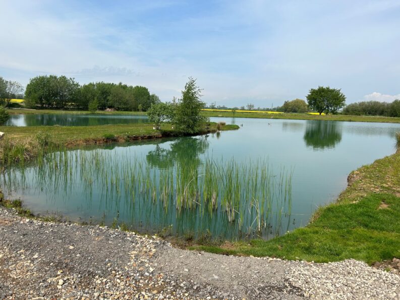 The stocked fishing lake at Derwent Oaks Park, anglers around the willow island in afternoon light
