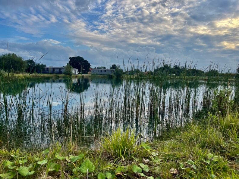 The calm fishing lake at Derwent Oaks Park