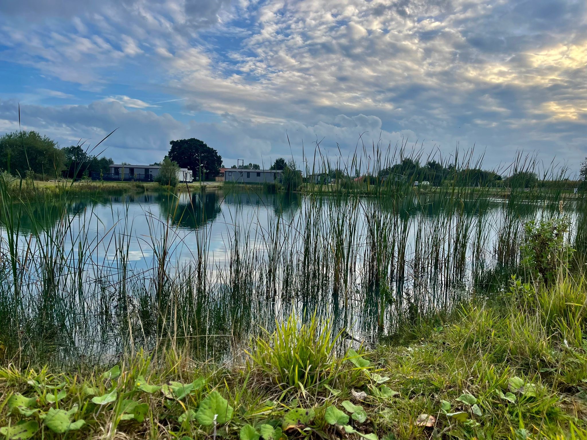 The calm fishing lake at Derwent Oaks Park